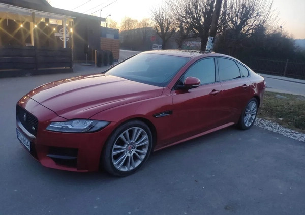 Jaguar XF cena 73900 przebieg: 131000, rok produkcji 2015 z Tuchów małe 37